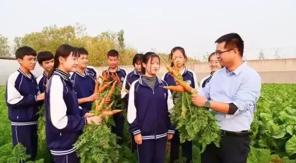 手机推荐📱2023年最新手机排行榜：全景剖析热门机型实力与用户满意度