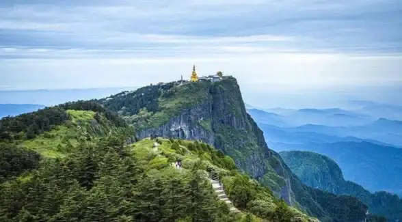 热门 独家 趣味 动物餐厅》富二代大熊猫来访频率及黄金时段大揭秘！
