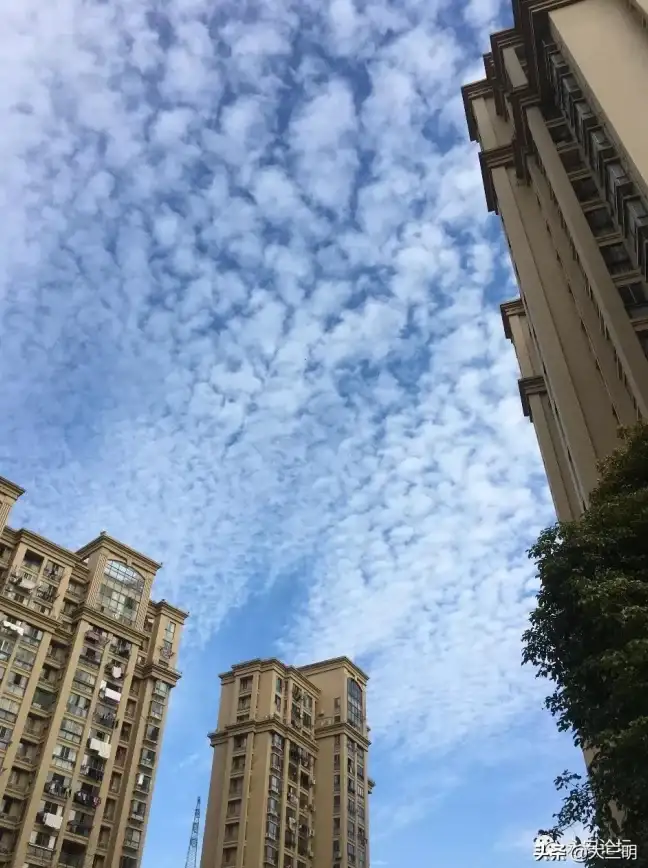 多线路,云主机-棉花云德国站点多线云主机适配指南
