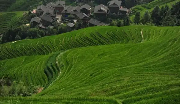 选购指南💻联想电脑CPU天梯图详解：助你挑选高性能处理器
