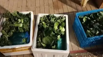 还在为多家快递管理发愁？溪鸟APP一键搞定所有包裹，扫码入库快准狠！