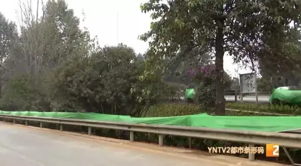 还在为手机桌面杂乱烦恼？试试这款极简安卓美化工具！