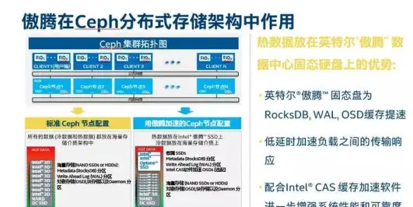 分布式存储 数据管理 Ceph对象存储客户端高效使用指南，全面提升数据处理能力