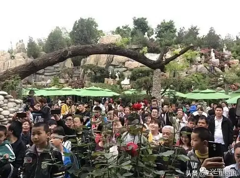 热点聚焦｜空间探索 畅游QQ空间，发现更多精彩内容等你探索