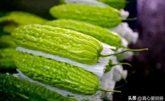 还在为自我健康管理发愁？中医中药APP一键解锁养生食谱与保健妙招！
