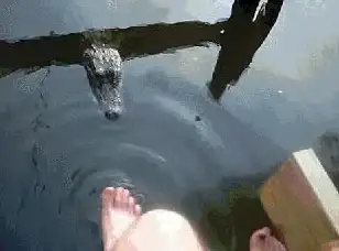 🌊环保先锋✦生态护航✦绿色钓鱼│钓鱼佬净化海洋，开启生态友好新体验！