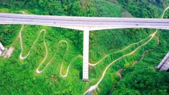 网络 路由器芯片性能全景解析：有线路由器芯片天梯图深度揭示高速网络核心技术