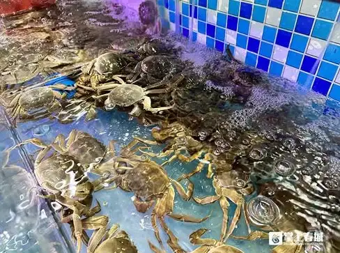 策略提升🔥和平精英螃蟹步高级技巧全解析