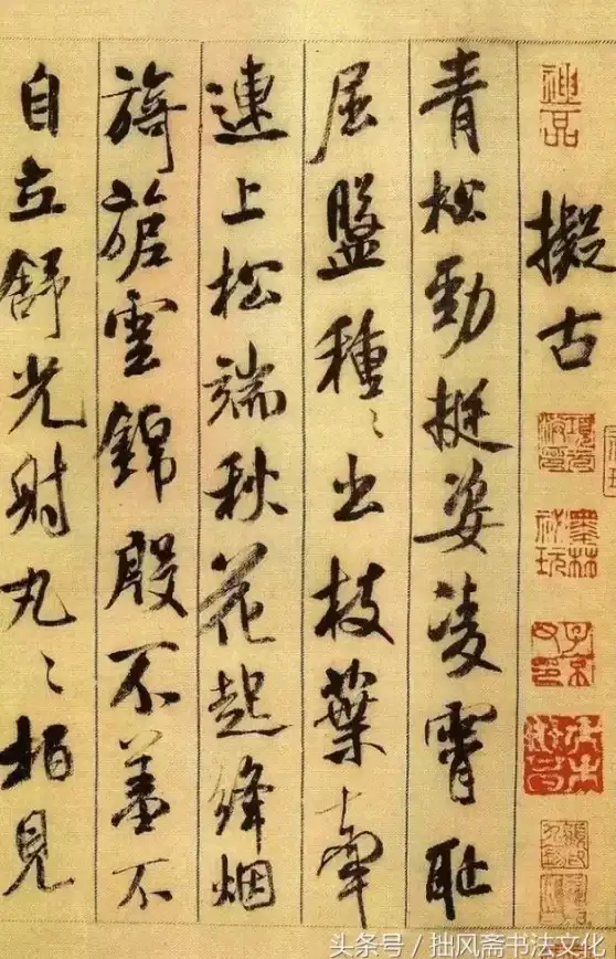 想畅听并收藏海量音乐？速悦音乐3.0.7难道不是你的理想之选吗？