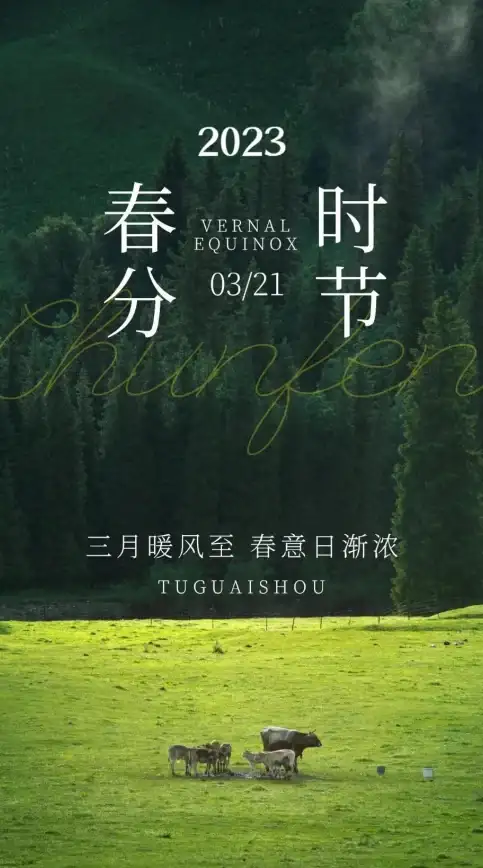 想要一款专业的日历查询工具？二十四节气日历不就是你的最佳选择吗？