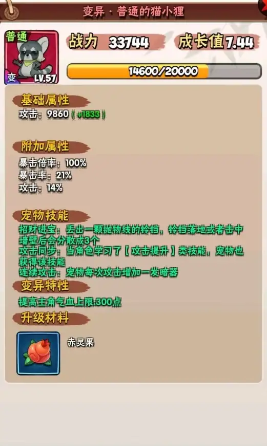 暴走大侠猫小狸升级顺序与实战强度分析