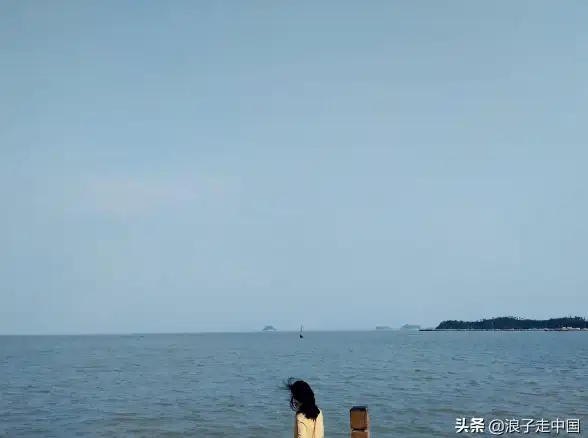 热门•攻略•新手必看 猫之城金涂鸦全套刷取秘籍，实用又高效！