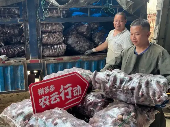 云计算,三网互联-佰网南宁数据中心，企业级大带宽三网直连