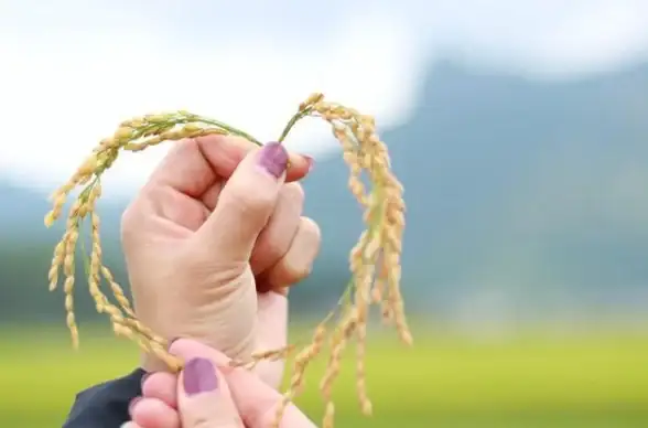还在手动重复点击？试试秒点自动连点器，解放双手轻松操作！