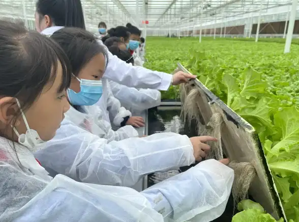 服务器安全 优惠活动 服务器安全1111优惠活动真的能带来实质性的安全保障吗？