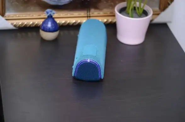 音响体验🎵索尼音响带你领略音乐的无限魅力