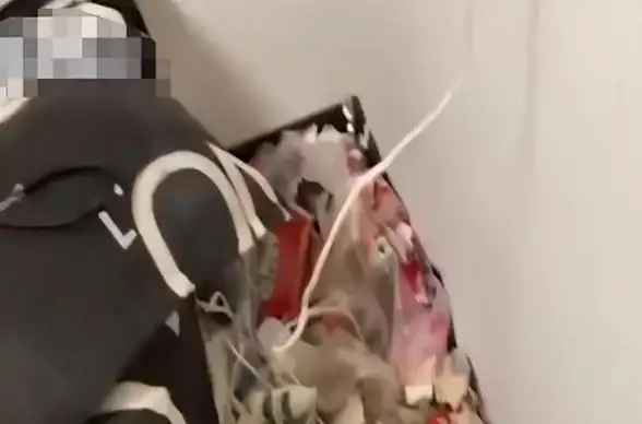 微信好友太多却不知谁已拉黑你？真实好友APP帮你智能清理，社交更清爽！