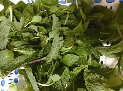 🔥攻略重磅🔥干货满满🔥荒野起源》新手必看问题及超全解决方案解析