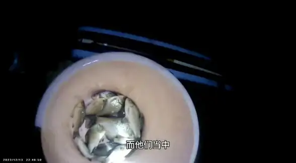 游戏攻略🎯热门推荐🎯钓鱼技巧｜DNF仙人鱼最佳饵料全解析