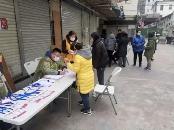 策略秘籍⚡角色推荐🔥零之战线初始角色选择全攻略详解