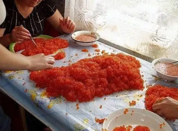 游戏🔥教程 动物果酱登录失败快速解决全攻略