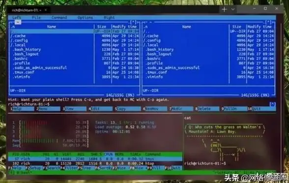 命令行基础 系统运维：如何区分并掌握CMD命令与Linux命令的差异与应用？