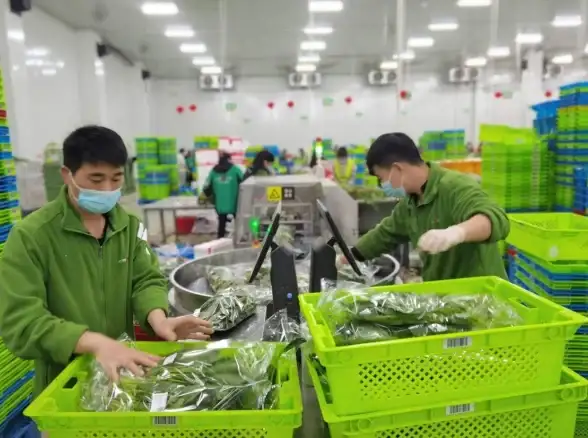 还在为买菜发愁？叮咚买菜APP让你足不出户就能选购新鲜蔬果！