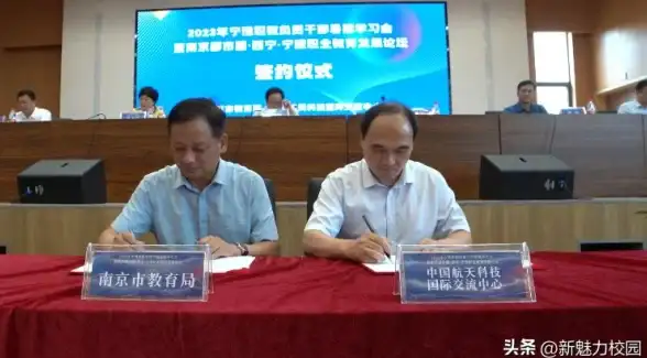 角色攻略🔥辐射4大转移最佳职业推荐，顶级选择解析
