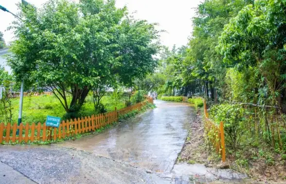 想体验流畅又实用的跑步记录？何不试试步道乐跑旧版本？