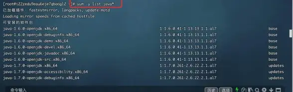 服务器部署 系统安装指南 如何安装Linux系统到服务器上？