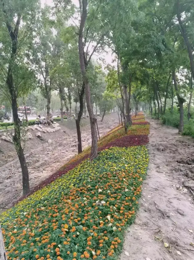 想一键美化视频？蜜蜂剪辑的智能处理功能你试过了吗？