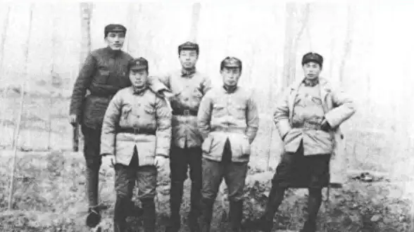 策略提升🔥阵容优化🔥实战解析—最高警戒》全新出战阵容深度探讨
