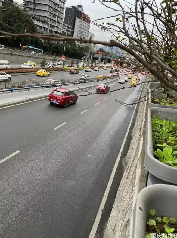 出行怕堵车？试试这款精准高效的交通路况查询神器！