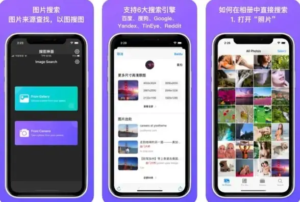 搜图神器—你的专属图片搜索下载助手，怎能错过？