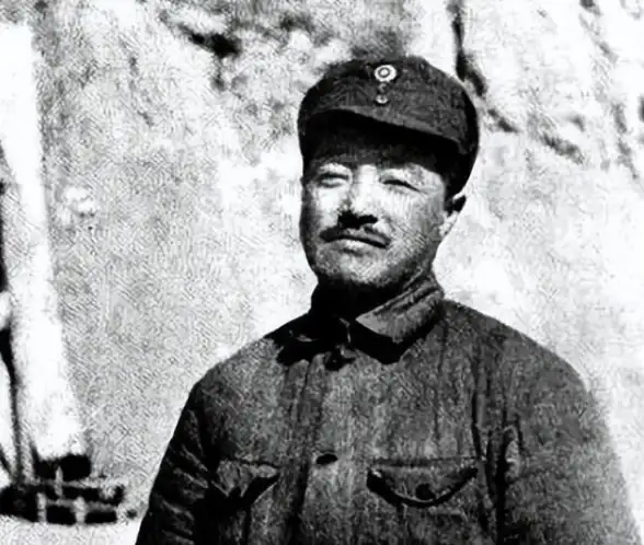 冒险✦深海✦寻宝 手游最硬核海盗游戏合集，挑战极限开启奇幻航程！