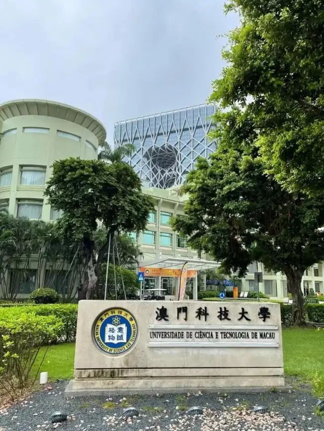 信息科技🌟系统软件：现代信息技术中的核心作用与应用前景