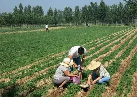 还在为找不到优质听剧软件发愁？漫播APP海量资源等你来体验！