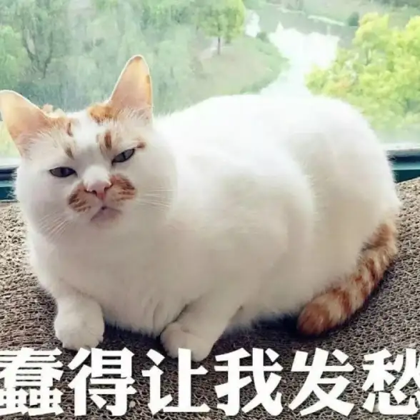 还在为宠物饮食操心？试试小佩宠物APP，智能喂食器一键管理！