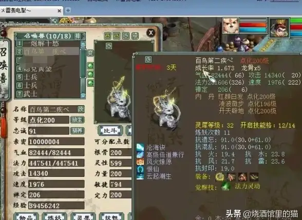 ⚡必看攻略⚡战略配搭⚡技巧分享 大话西游手游内丹技能深度解析与实用搭配秘籍