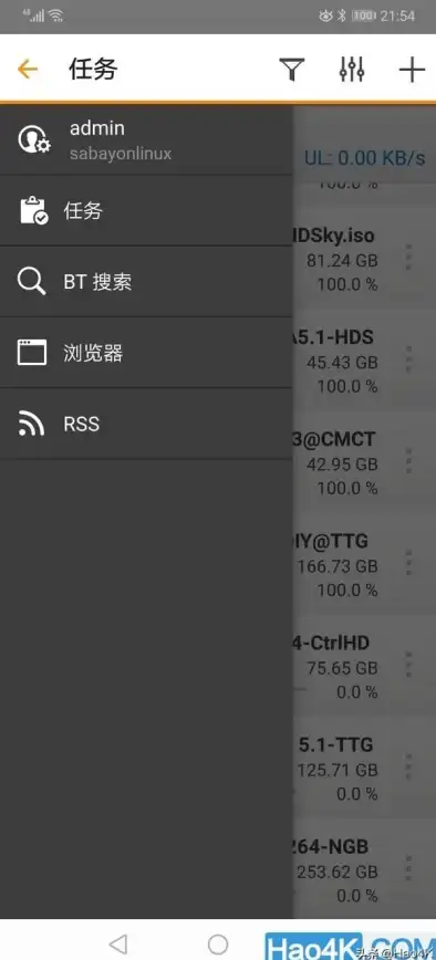服务器管理 软件部署 详细教程：如何将BT软件高效安装到服务器上