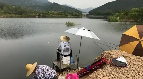 系统优化 小鱼教您详细步骤开启电脑系统配置
