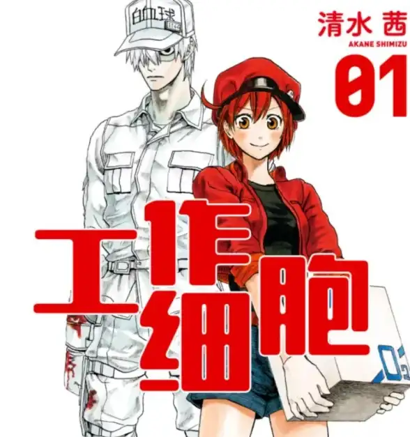 动漫推荐🔥热门动漫推荐】2021年B站人气动画精选，追番党不可错过的佳作合集
