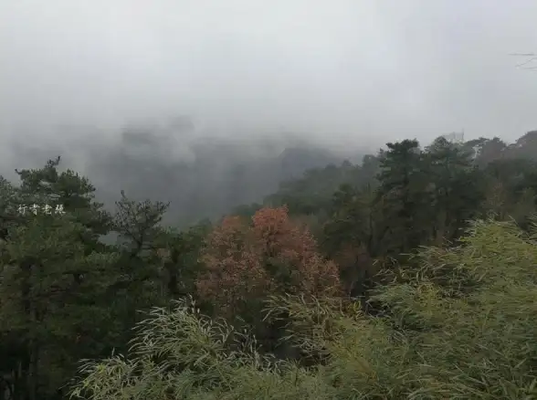 还在寻找学习古诗词的优质工具？西窗烛APP一键满足你的创作与鉴赏需求！