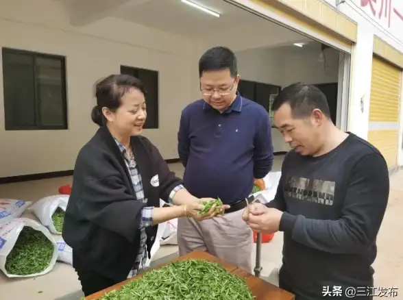 图片管理 Windows图片和传真查看器：高效管理与轻松浏览文件的理想选择