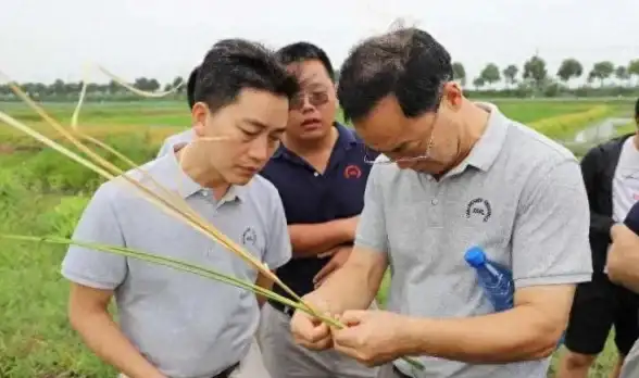 CMS建站 用户体验优化：如何快速搭建并优化cms微网站以提升用户体验？