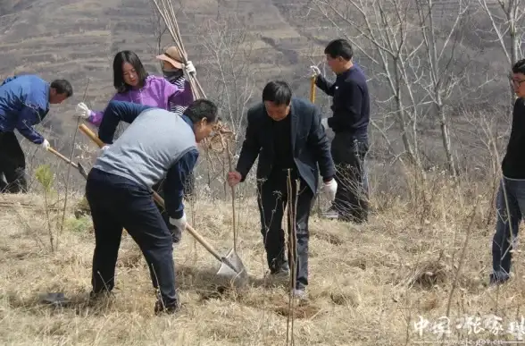 社交管理📱QQ通讯录：让你的社交圈子井然有序