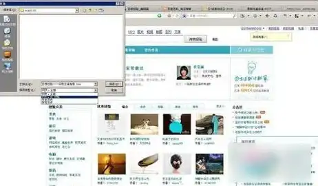 视频下载神器｜轻松下载网页视频，便捷保存你喜欢的在线视频内容