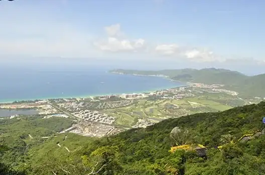 想高效管理手机使用时间？专注森林’APP帮你定时锁定应用，告别无节制刷手机！