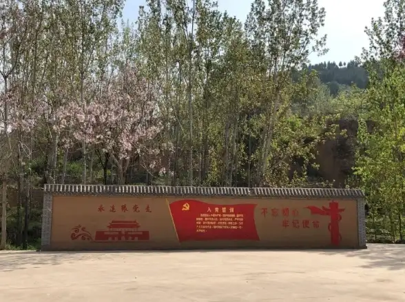 想要无广告干扰的沉浸式阅读体验？黑岩阅读的精致排版与多样模式你试过了吗？
