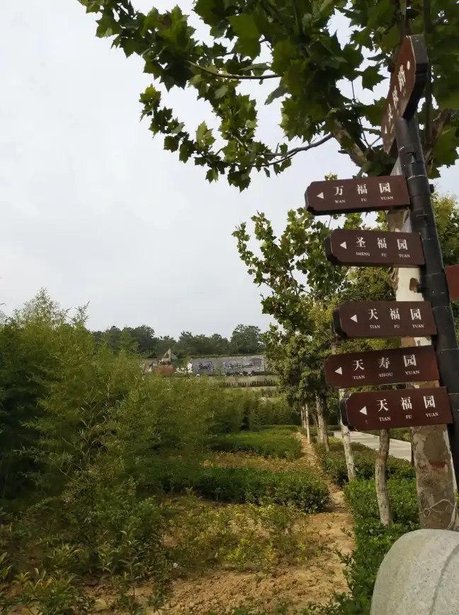 挑战攻略🔥航海王热血航线安眠之地首领攻略详解